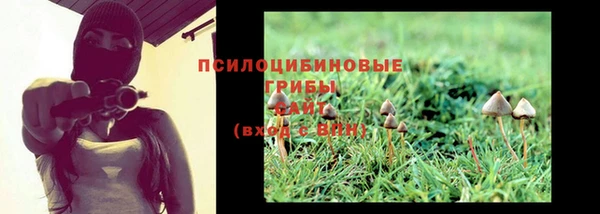 шишки Балабаново