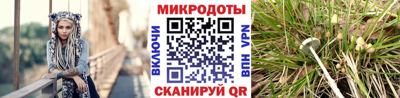 Галлюциногенные грибы MAGIC MUSHROOMS  mega ССЫЛКА  Обь 